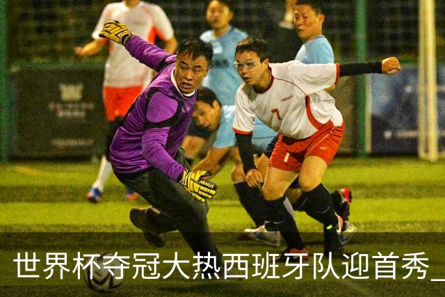世界杯夺冠大热西班牙队迎首秀 伊朗队入境美国参赛